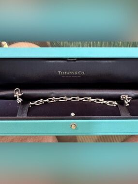Tiffany & Co. Sterling Silver HardWare small Link Bracelet